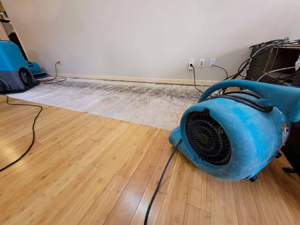 Professional Water Extraction technician working in Castroville, TX